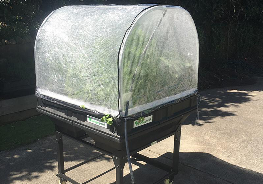 Mittlere Treibhausabdeckung - Vegepod Germany
