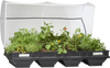 Vegepod Containergarten Groß mit VegeCover 2m x 1m - Vegepod Germany