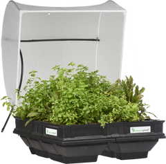 Vegepod Hochbeet  | Mittelgrosser Containergarten Gemüsebeet Schwarz mit Abdeckung