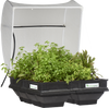 Vegepod Containergarten Mittel mit VegeCover 1m x 1m - Vegepod Germany