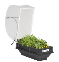 Vegepod Hochbeet  | Kleiner Containergarten Gemüsebeet Schwarz mit Abdeckung