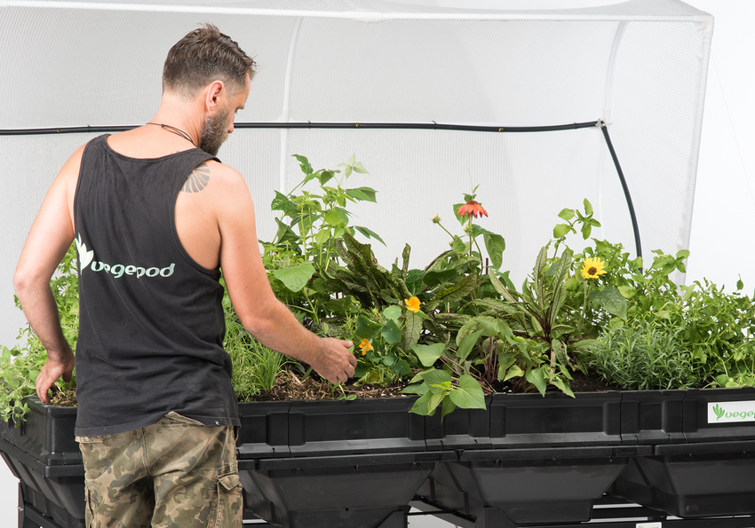 Vegepod Containergarten Groß mit VegeCover 2m x 1m - Vegepod Germany