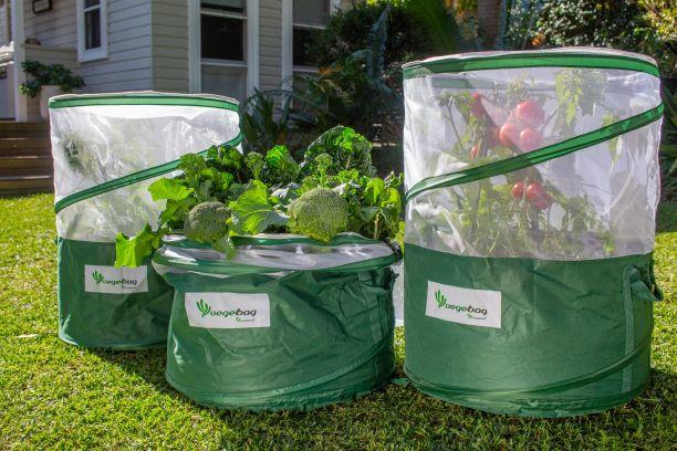 Vegebag - Vegepod Germany