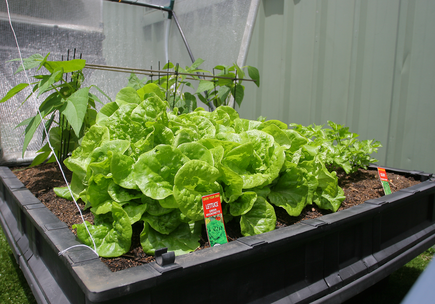 Vegepod Containergarten Mittel mit VegeCover 1m x 1m - Vegepod Germany