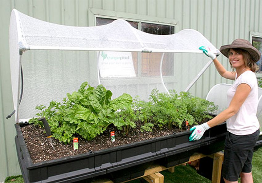 Vegepod Containergarten Groß mit VegeCover 2m x 1m - Vegepod Germany